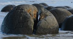 Moeraki Boulders