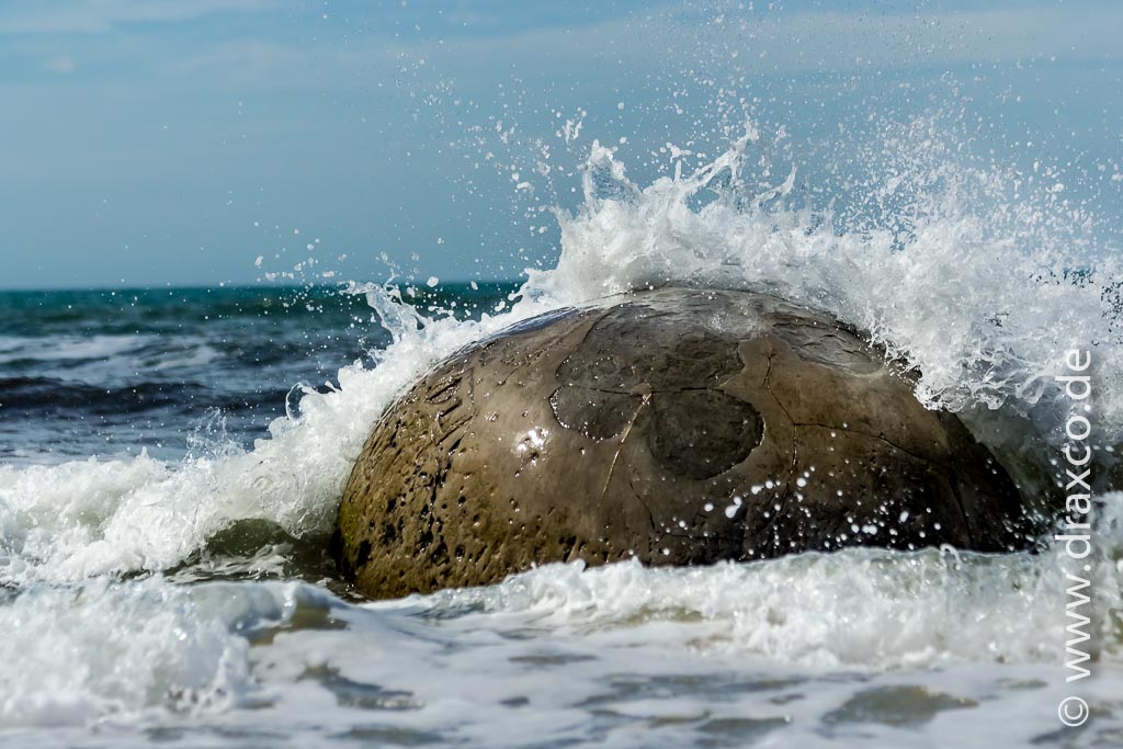 Moeraki Boulders