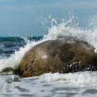 Moeraki Boulders