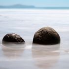 Moeraki Boulders Eins