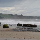 Moeraki Boulders