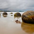 Moeraki Boulders - Neuseeland - Südinsel