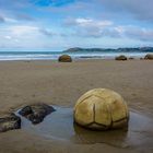 Moeraki Boulders (New Zealand)