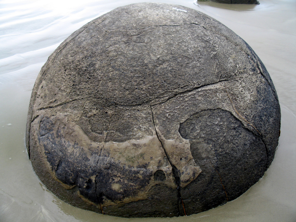 Moeraki Boulders Newzealand 2