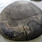 Moeraki Boulders Newzealand 2