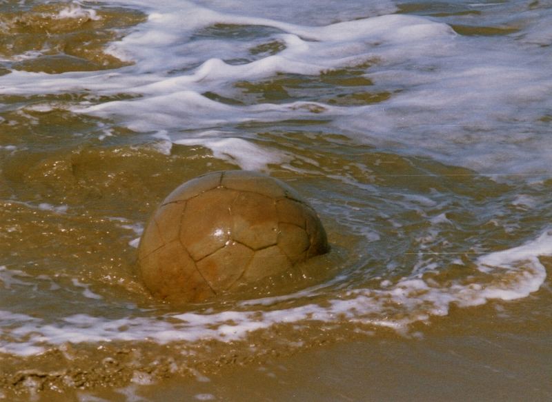 Moeraki Boulders (Steinkugel)