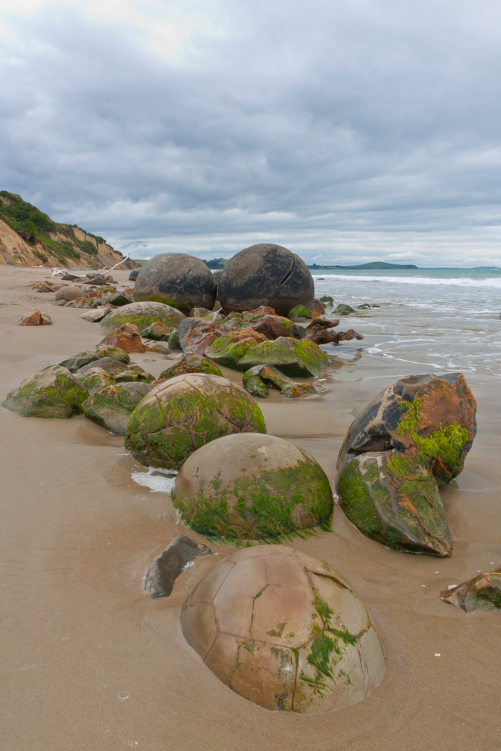 Moeraki Boulders - tidal remains