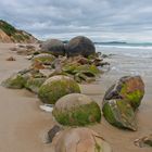 Moeraki Boulders - tidal remains