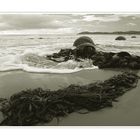 ___moeraki_boulders___