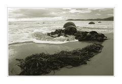 ___moeraki_boulders___