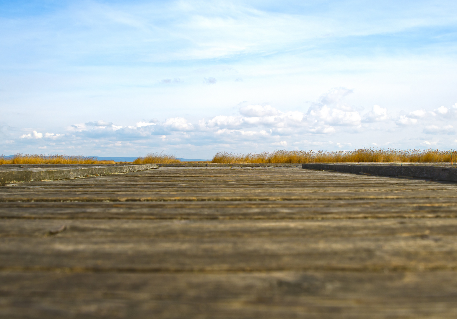 Mörbisch, Burgenland, Neusiedlersee