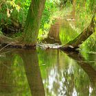 Moerser Schlosspark Herbst