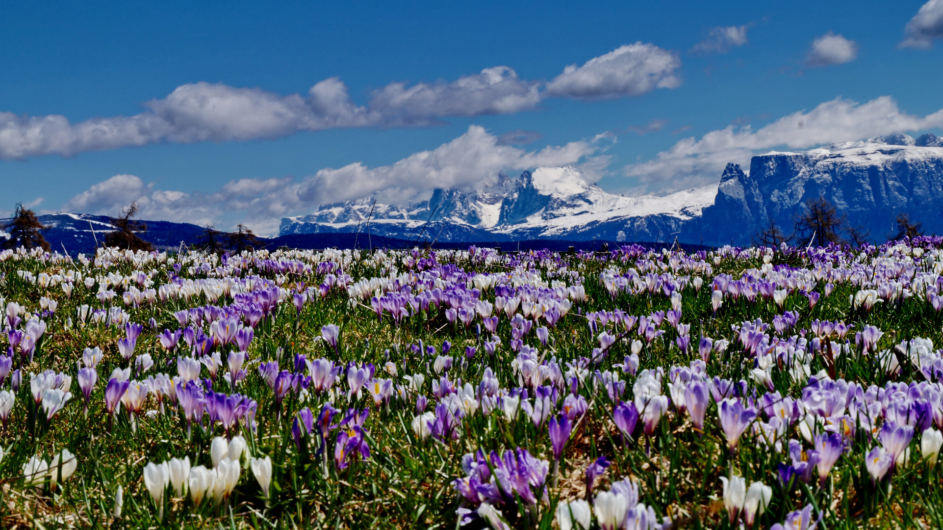 Mörteltal /Meltina Südtirol und der Rosengarten