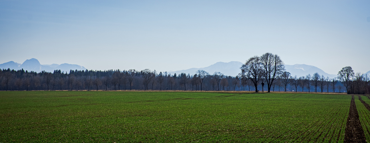 Möschenfelder Natur