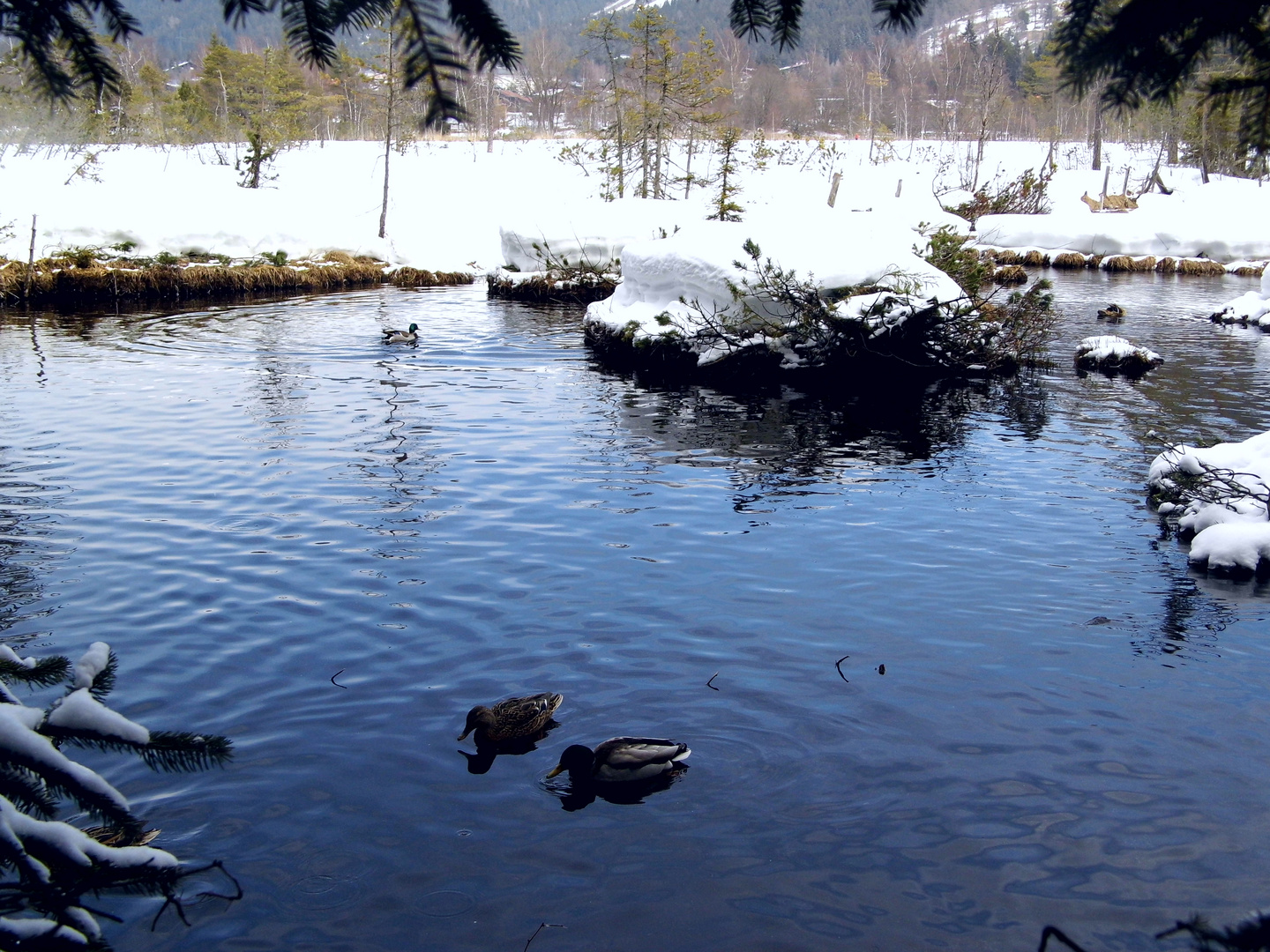 Möserer See