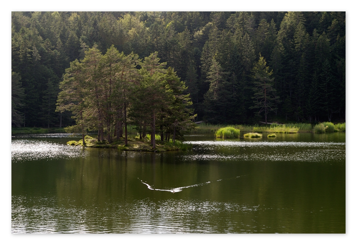 Möserer See