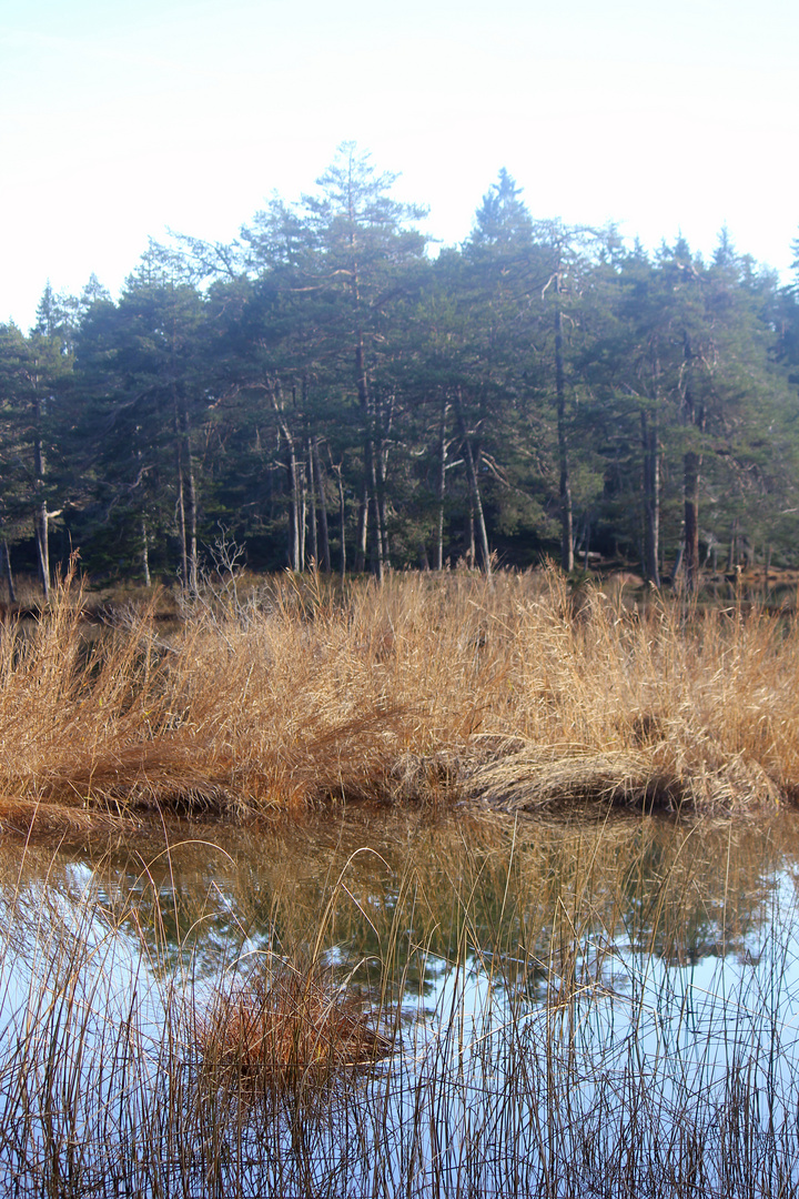 Möserer See Naturschutzgebiet