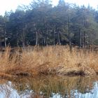 Möserer See Naturschutzgebiet