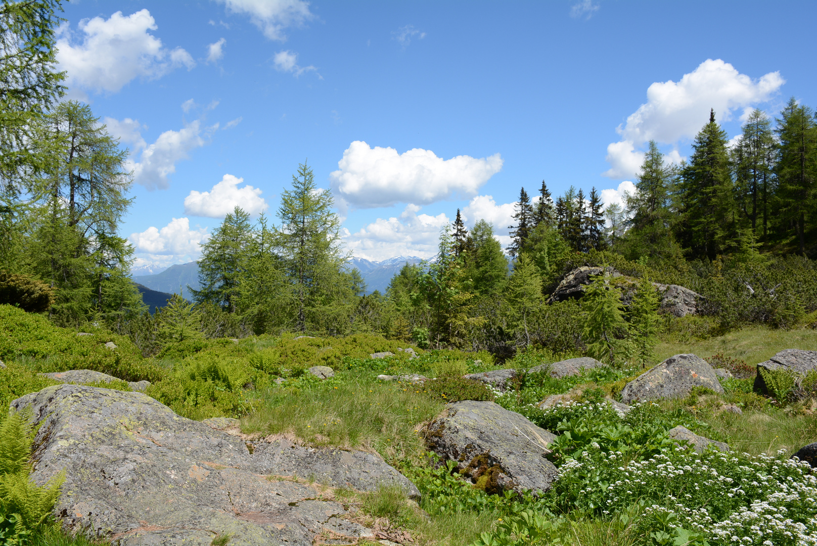 Mösli, Naturschutzgebiet bei Flirsch