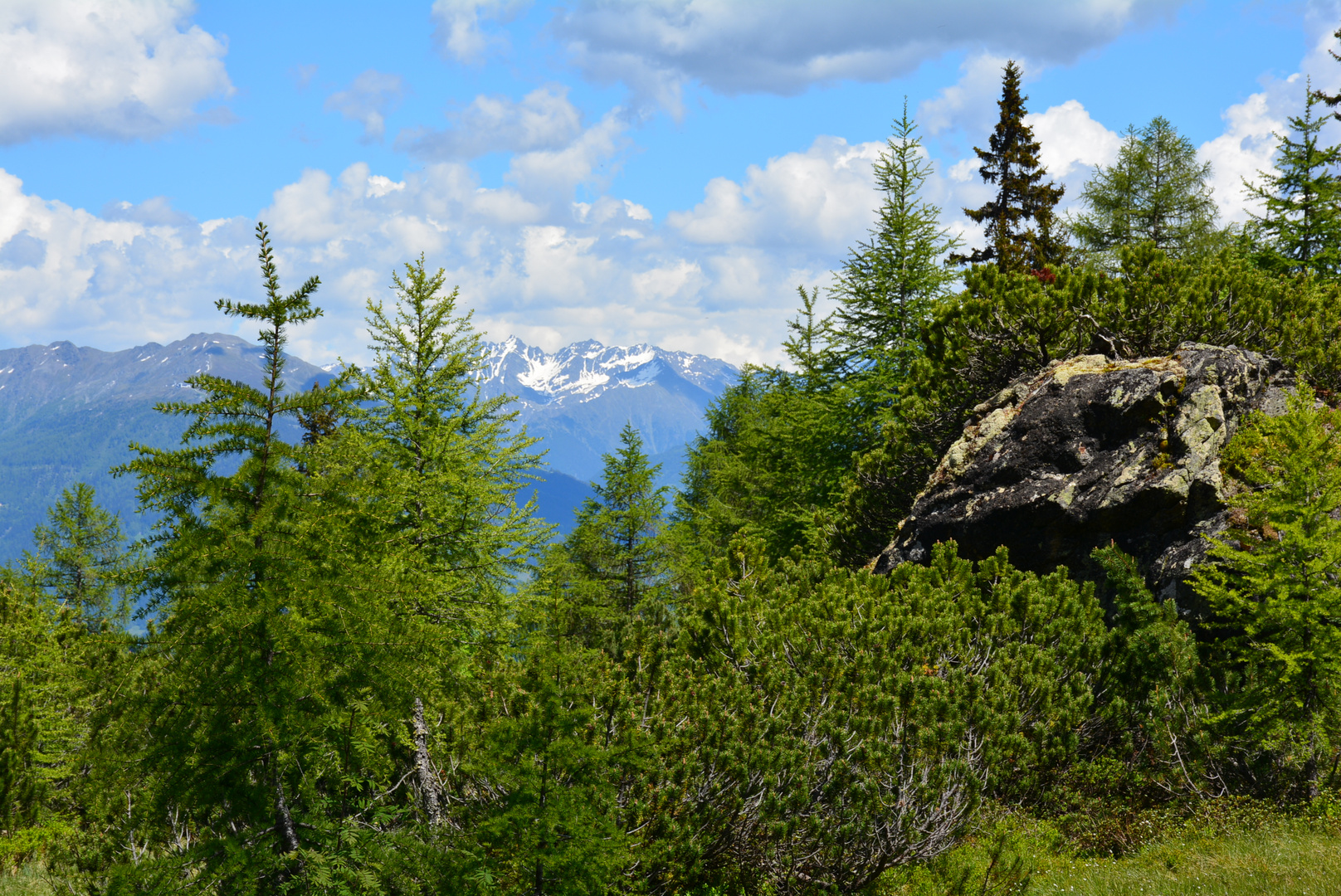 Mösli, Naturschutzgebiet bei Flirsch