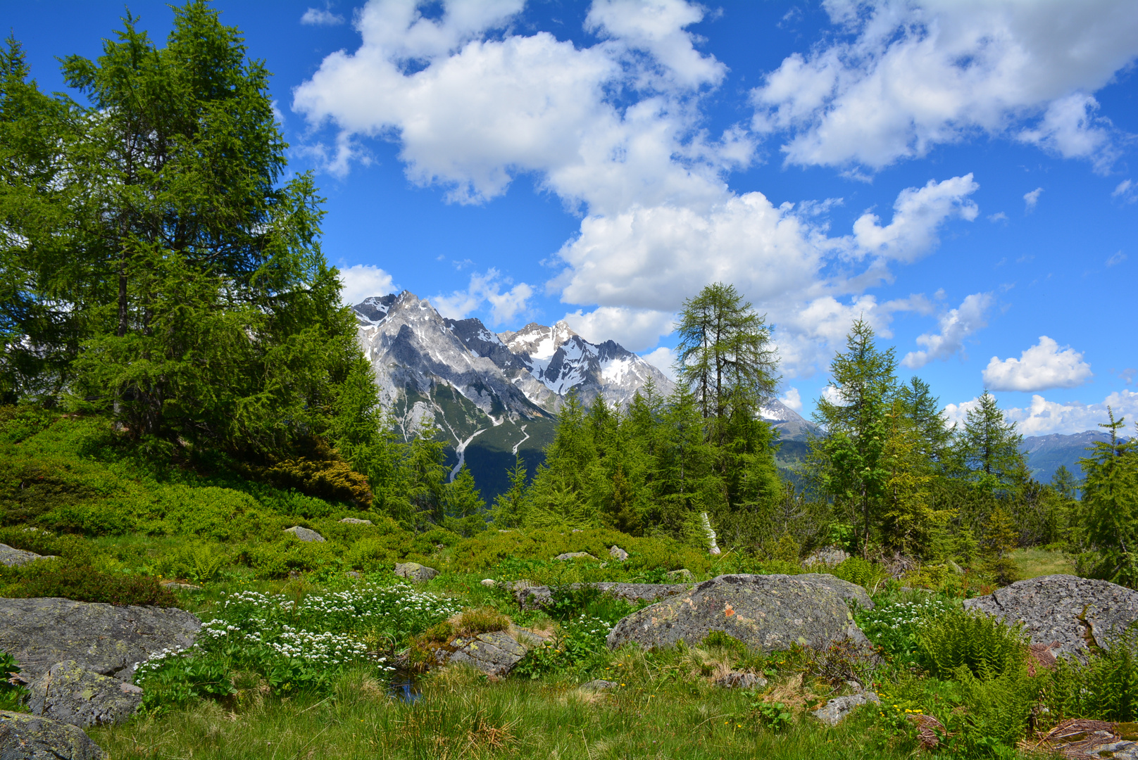 Mösli, Naturschutzgebiet bei Flirsch