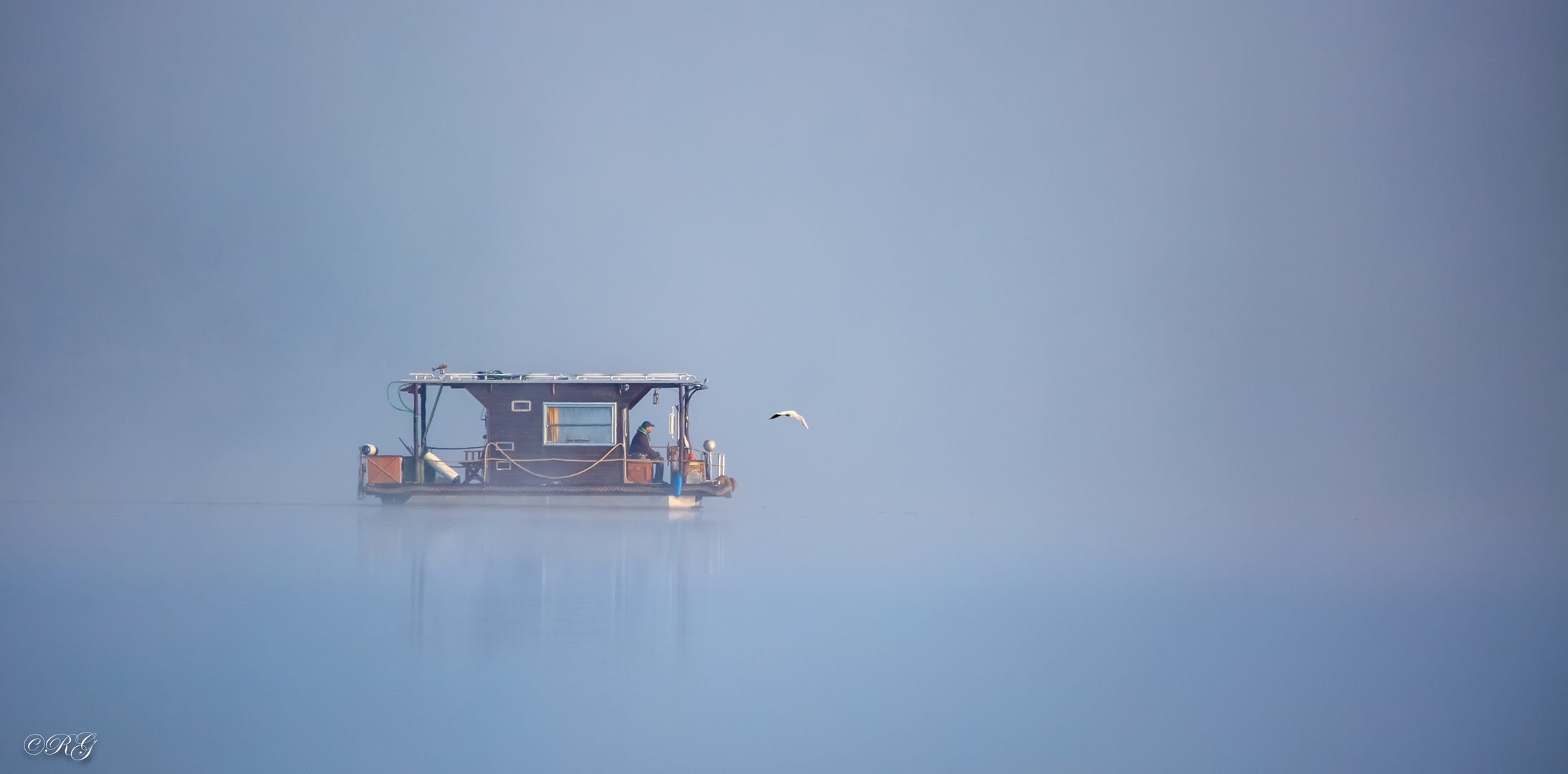 Möve als Lotse im Nebel