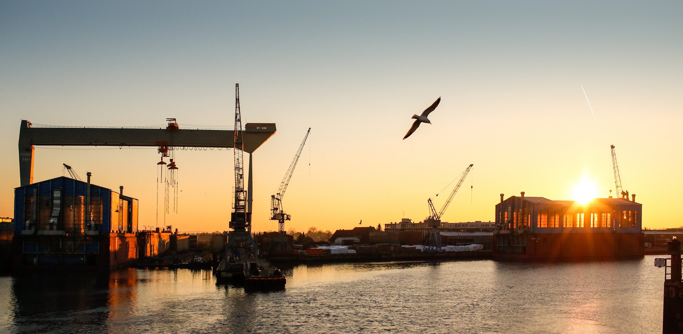 Möve fliegt über eine alte Werft