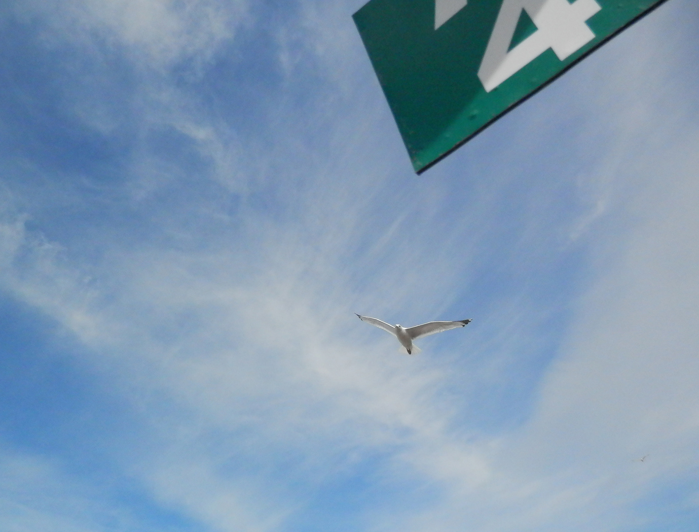 Möve im Flug am Ende der Friedrchsstraße /Westerland