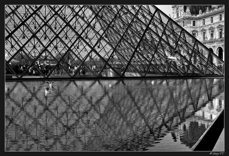 Möven, oder auch Louvre