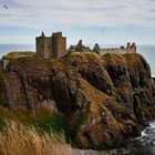 Möven über Dunnottar Castle