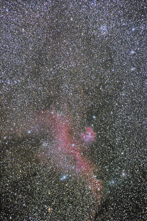 Mövennebel (IC 2177)
