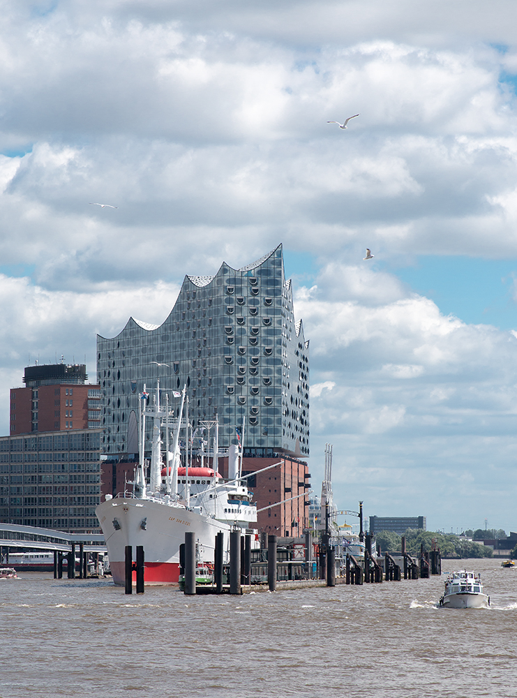 Mövensinfonie an der Elbphilharmonie