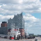 Mövensinfonie an der Elbphilharmonie