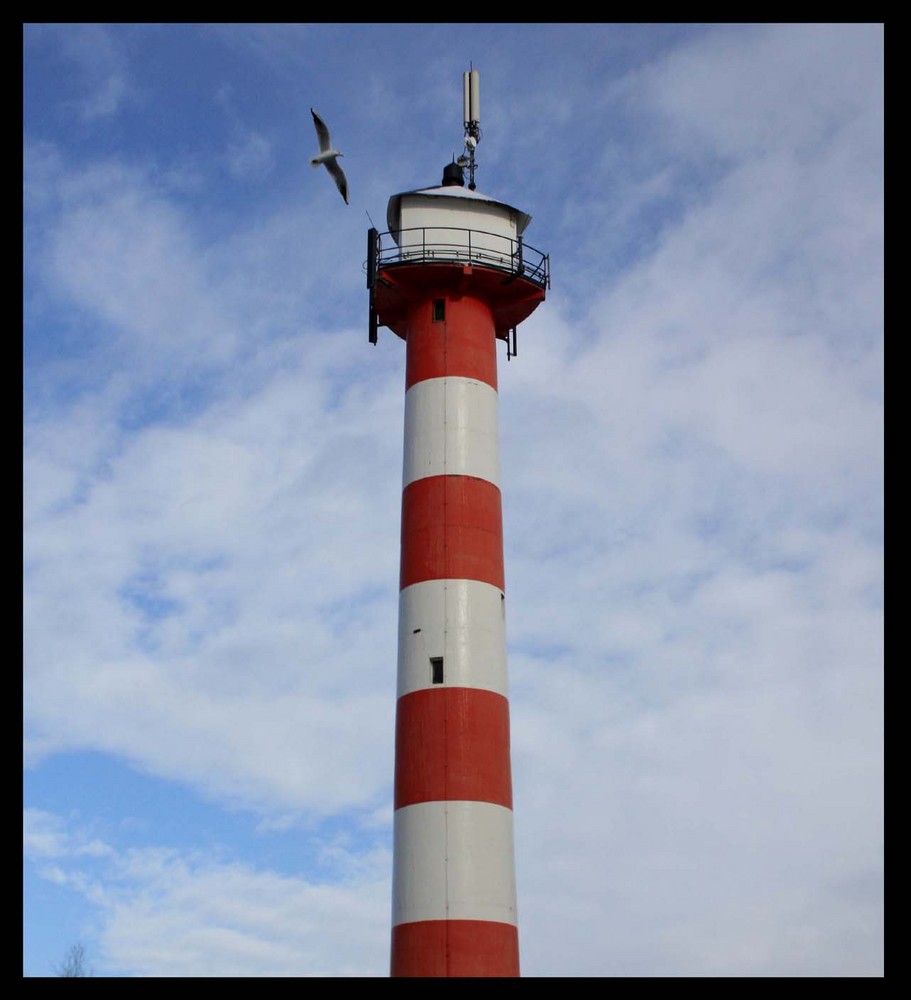 Möwe am Leuchtturm