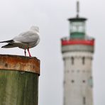 Möwe an Leuchtturm