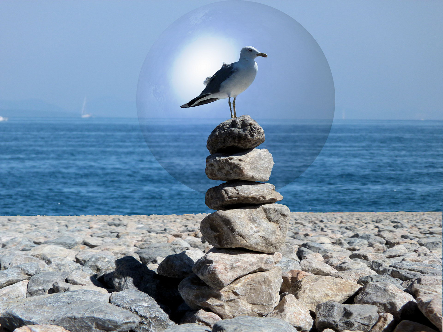 Möwe auf Stapelsteine