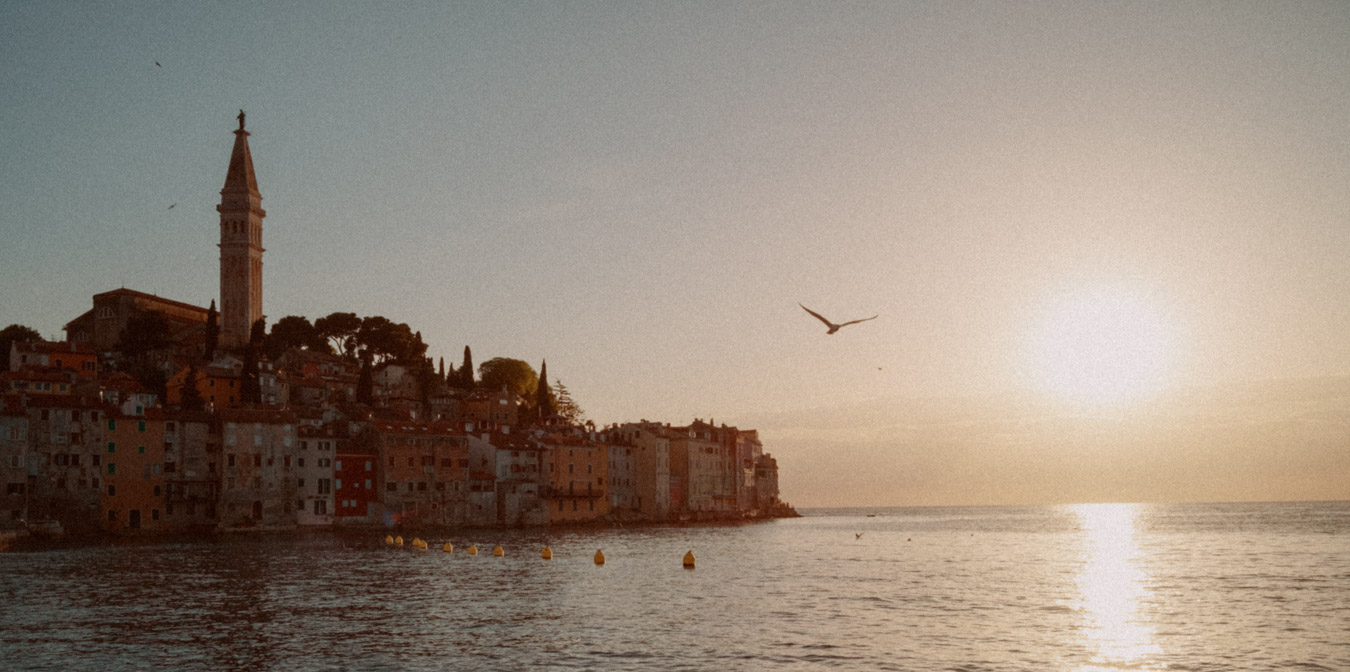 Möwe bei Rovinj