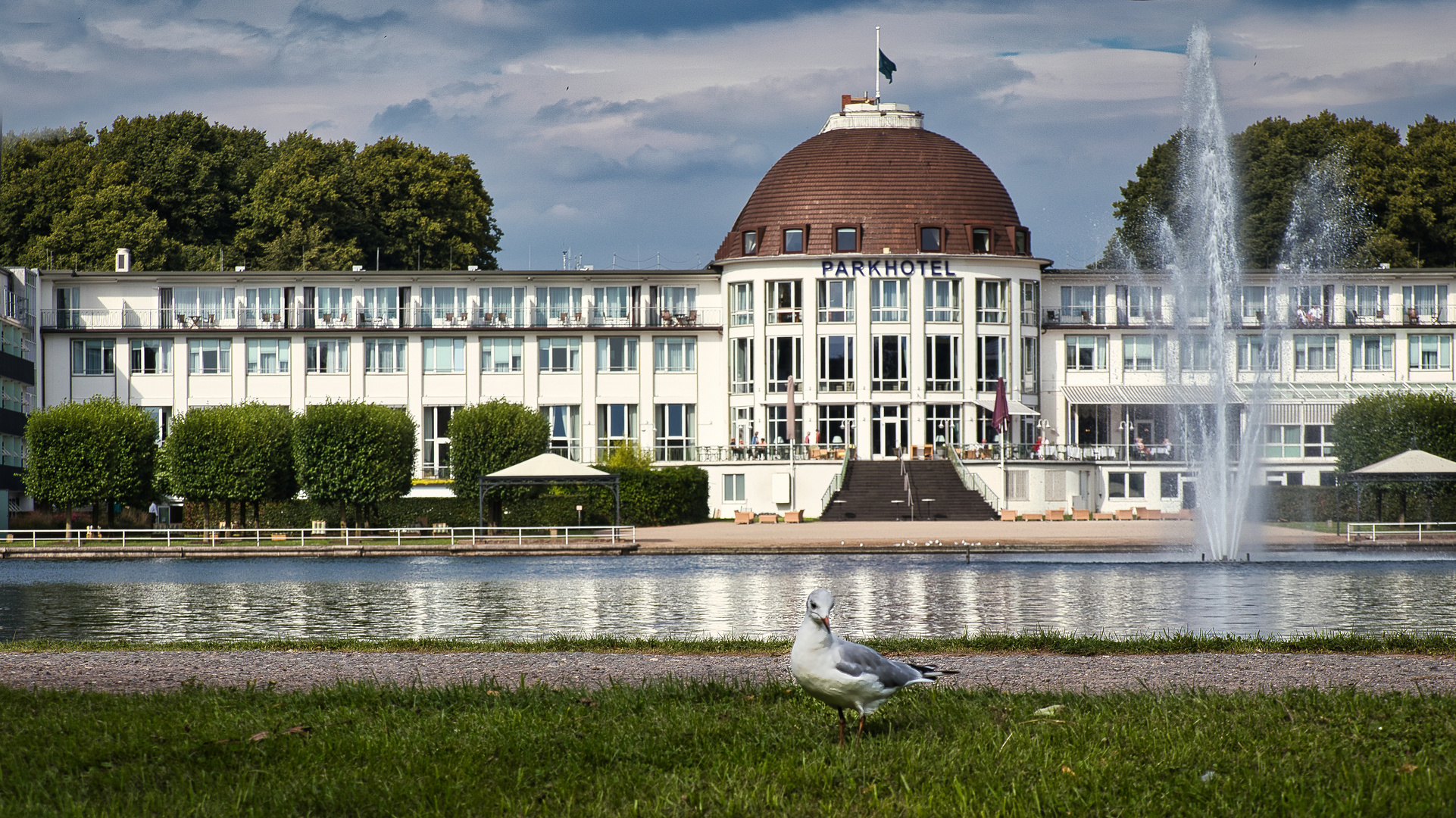 Möwe bereit zum Einchecken !!