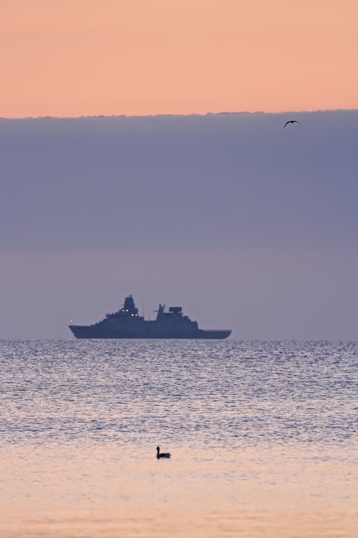 Möwe - Fregatte - Ente      dänische Ostsee 2022