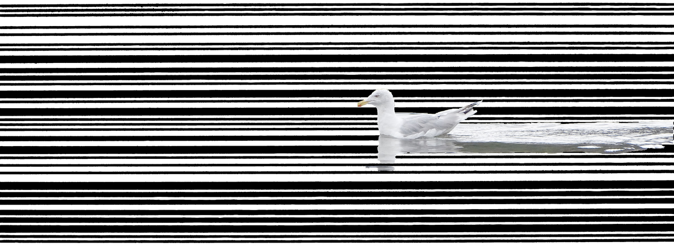 Möwe im EAN bzw. Barcode