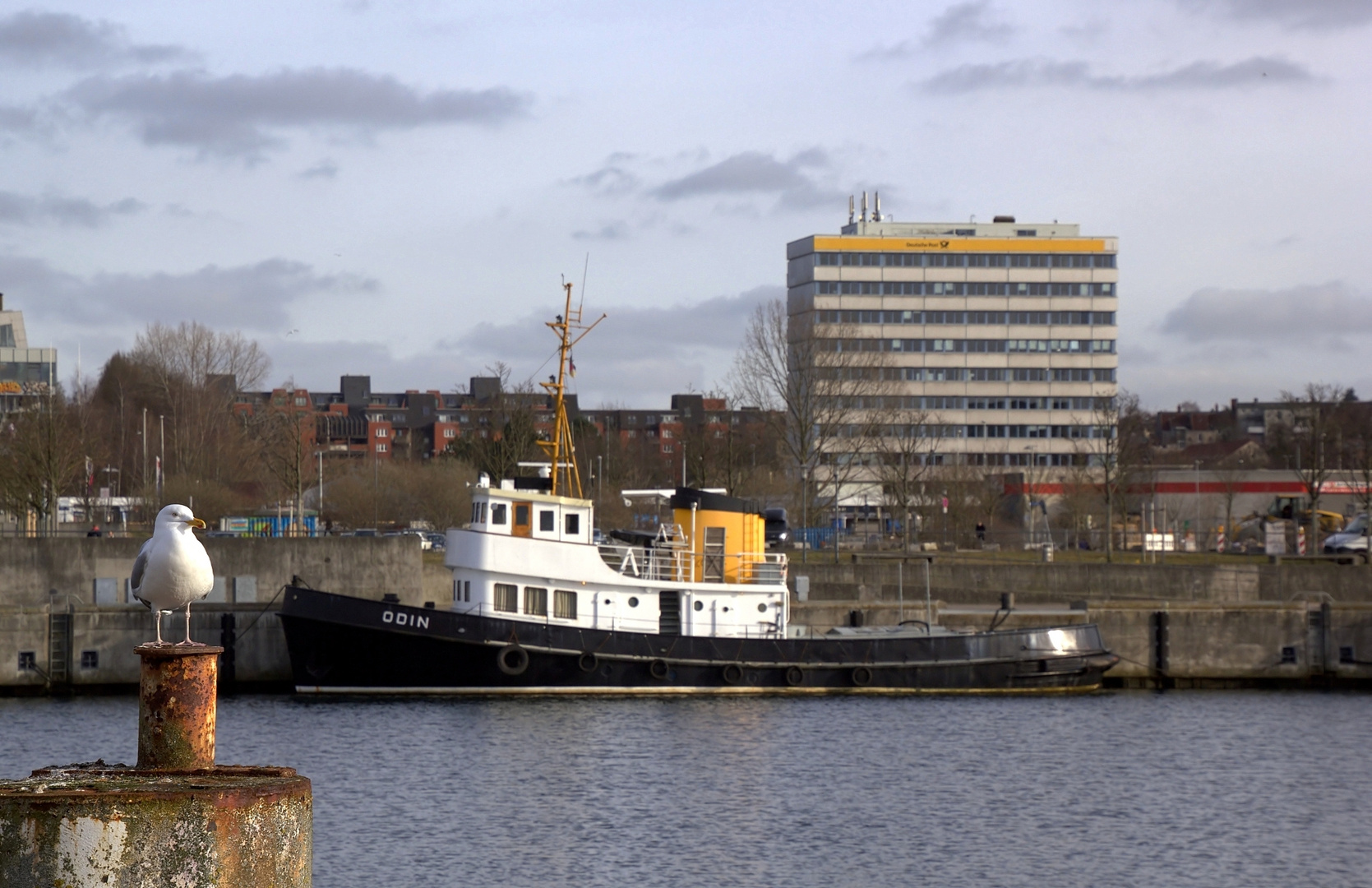 MÖWE in Kiel