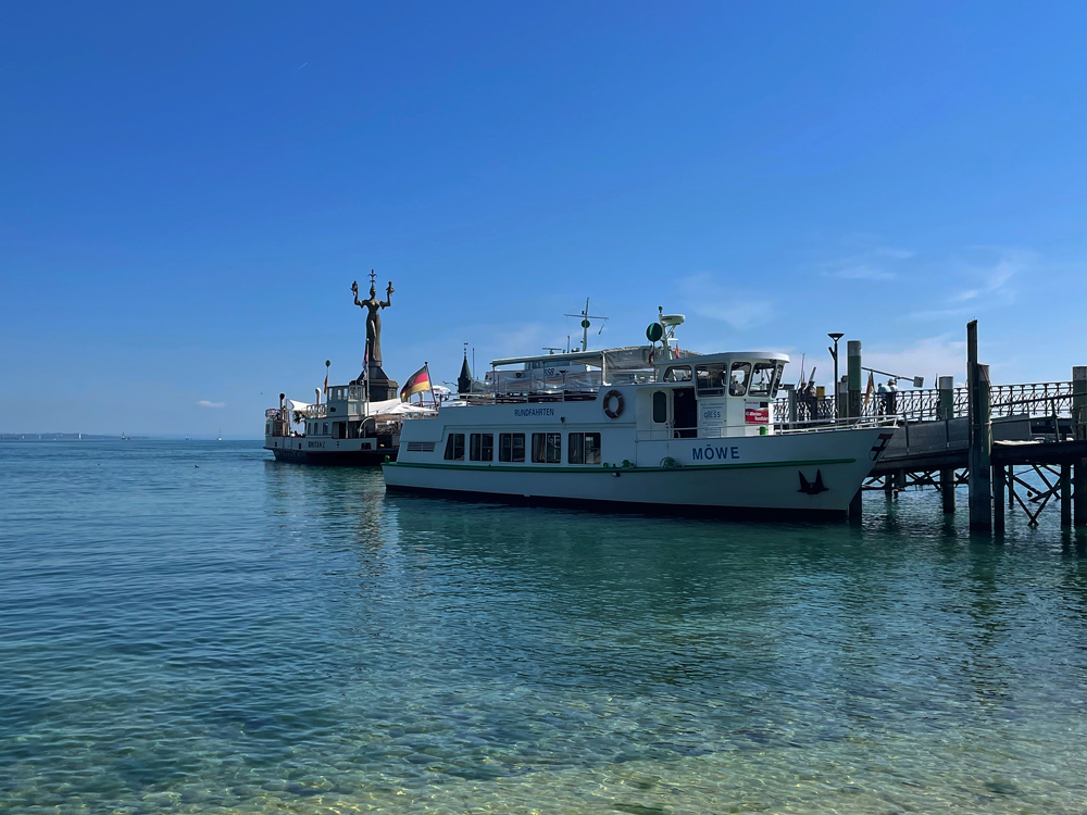 Möwe in Konstanz