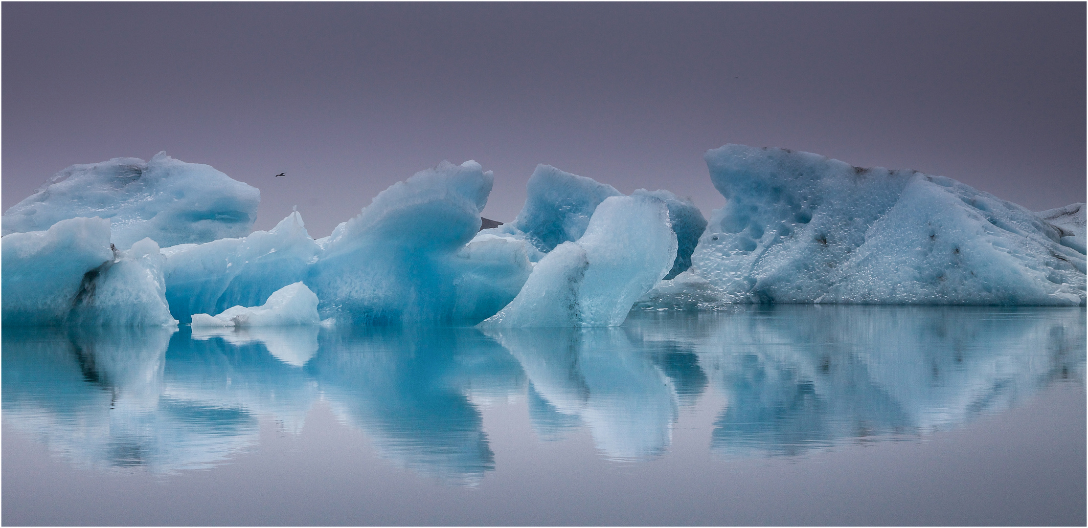 Möwe mit Eis