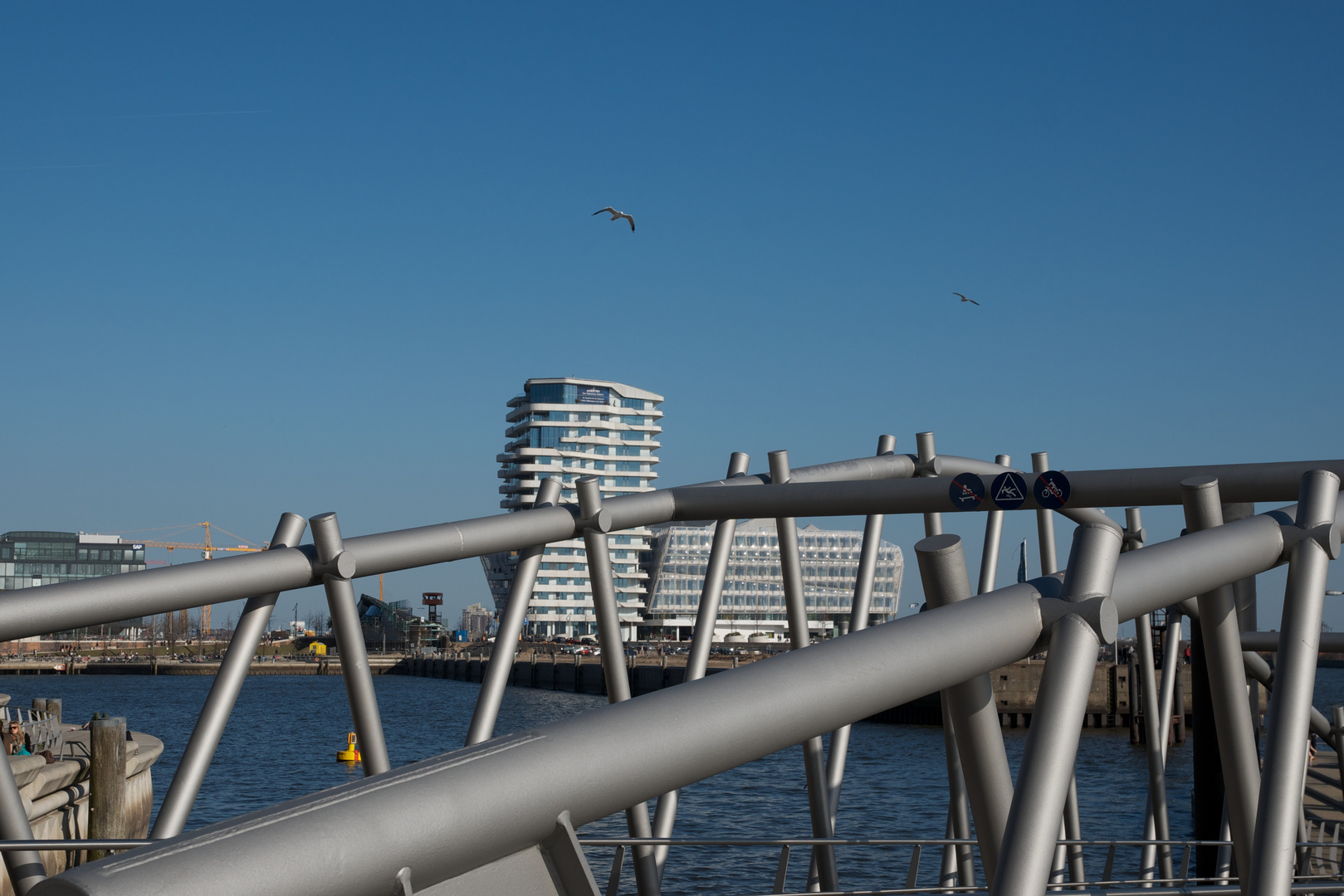 Möwe trifft Hafen-City