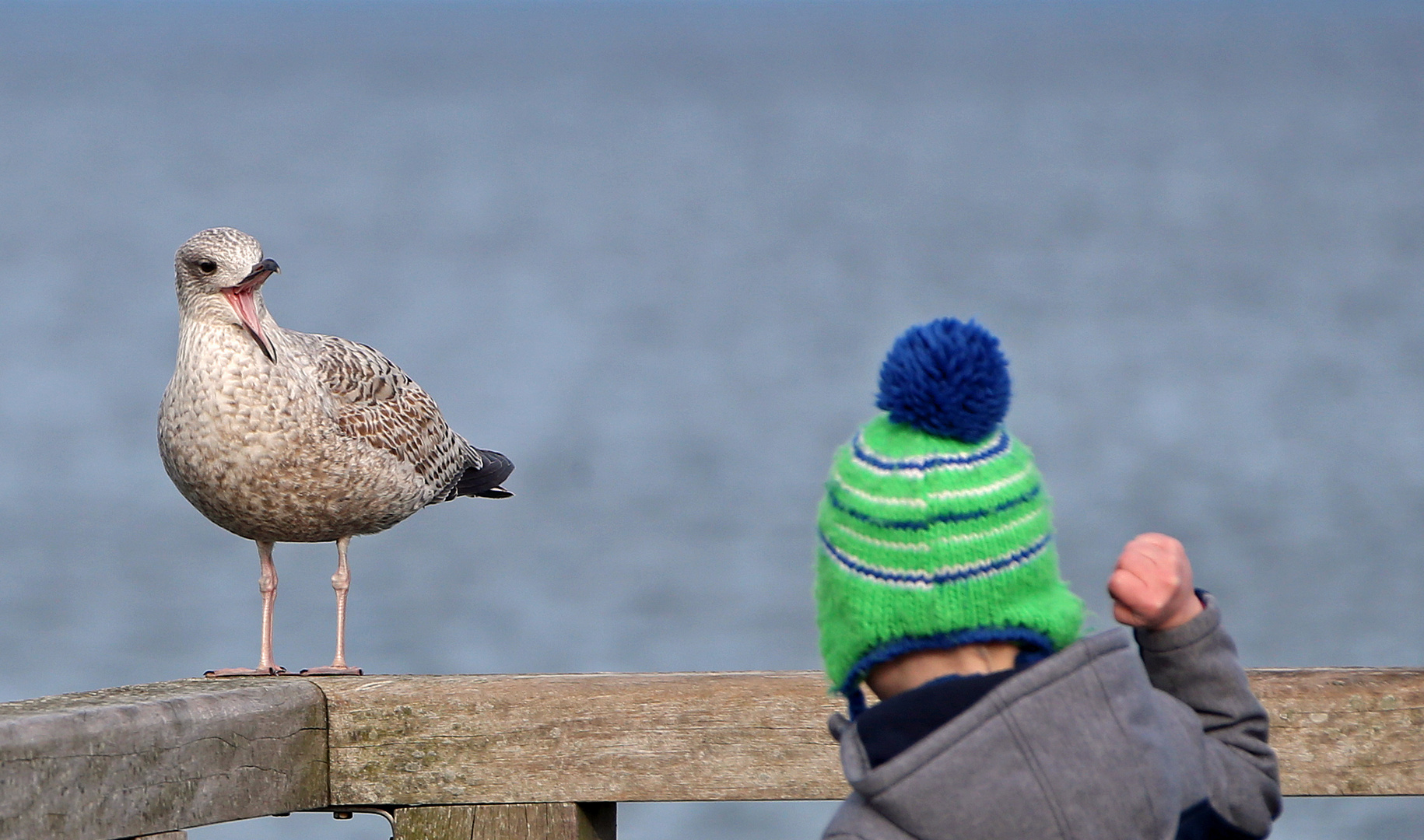 Möwe und Kind oder Kind und Möwe