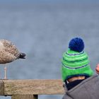 Möwe und Kind oder Kind und Möwe