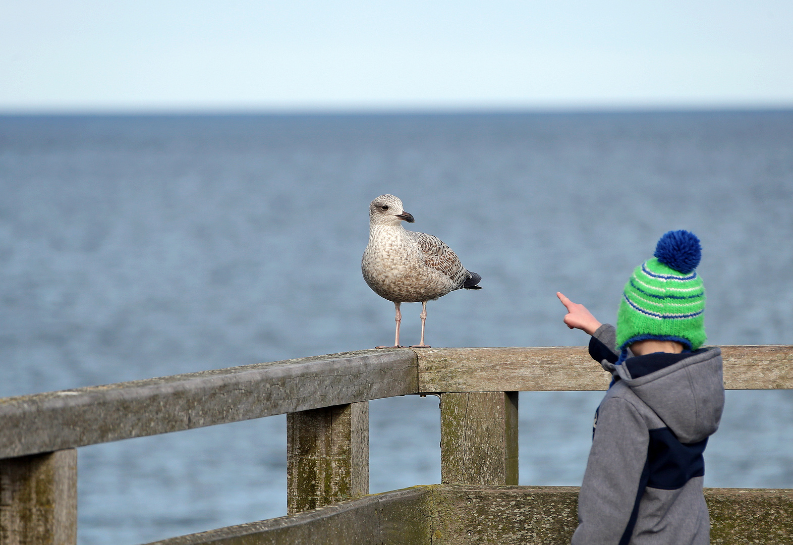 Möwe und Kind oder Kind und Möwe