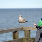 Möwe und Kind oder Kind und Möwe