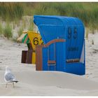 Möwe und Strandkorb auf Juist