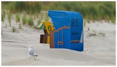 Möwe und Strandkorb auf Juist